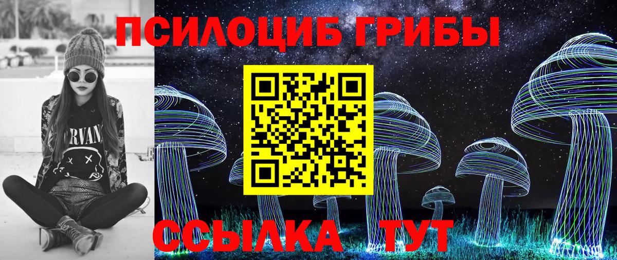 Волгоград  Псилоцибиновые грибы Psilocybe  Галлюциногенные грибы Magic Shrooms  Вход с VPN 